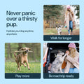 MalsiPree Dog Water Bottle With Bowl- 19oz Malsipree