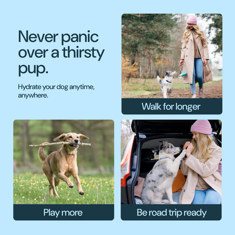 MalsiPree Dog Water Bottle With Bowl- 19oz Malsipree