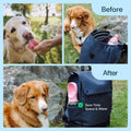 MalsiPree Dog Water Bottle With Bowl- 19oz Malsipree