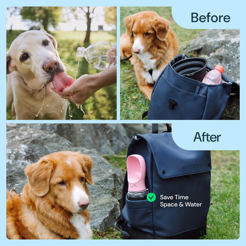 MalsiPree Dog Water Bottle With Bowl- 19oz Malsipree