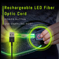 Night-Safety LED Waist Band for Running & Jogging Blue Cactus