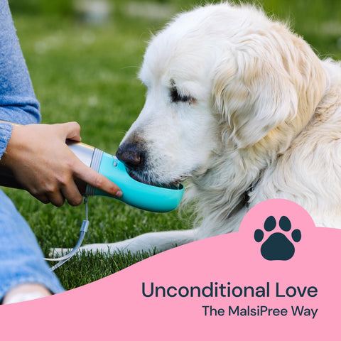 MalsiPree Insulated Dog Water Bottle- 24oz Malsipree
