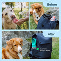 MalsiPree Dog Water Bottle With Bowl- 19oz Malsipree