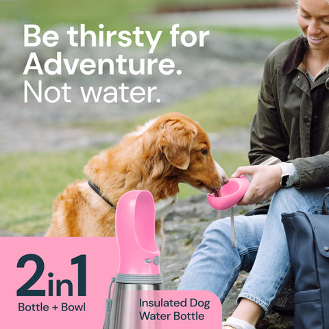 MalsiPree Insulated Dog Water Bottle- 24oz Malsipree