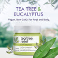 Clearbody Organics Organic Eucalyptus Body Cream 2oz Clearbody Organics