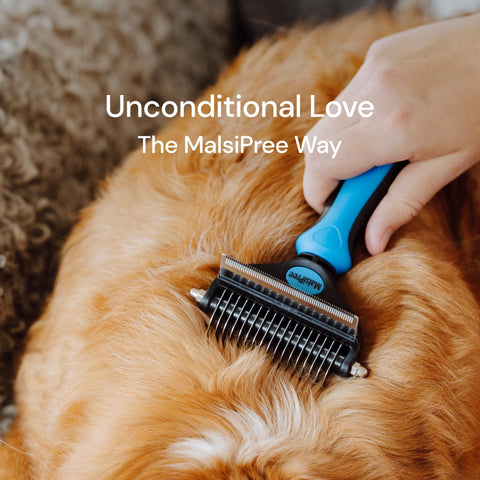 MalsiPree Pet Grooming Brush Tool Matted Pet Hair- Small Malsipree