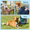 MalsiPree Insulated Dog Water Bottle- 24oz Malsipree