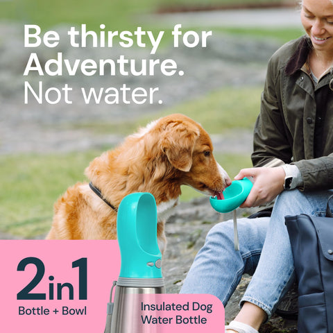 MalsiPree Insulated Dog Water Bottle- 24oz Malsipree