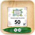 Square, Biodegradable Palm Leaf Party Plates (Bulk) Chic Leaf