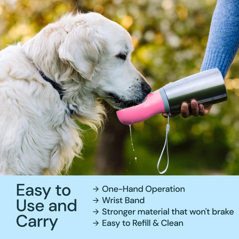 MalsiPree Insulated Dog Water Bottle- 24oz Malsipree