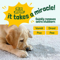 Sunny & Honey Pet Stain & Odor Remover Turbo- 32 oz Sunny & Honey