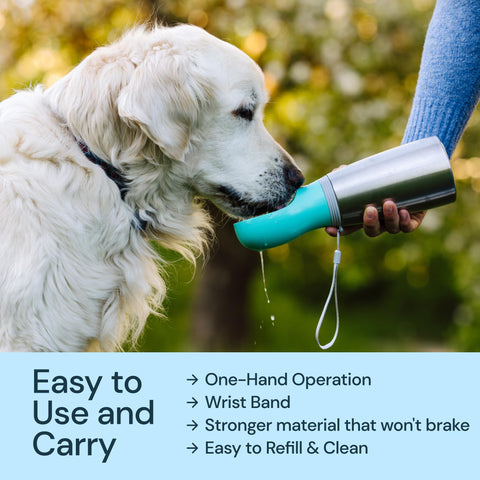 MalsiPree Insulated Dog Water Bottle- 24oz Malsipree