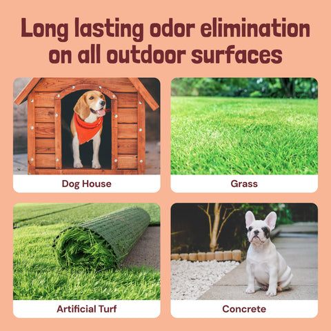 Outdoor Artificial Turf Deodorizer for Dogs (Pet & Kid-Safe) Sunny & Honey