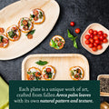 Chic Leaf Palm Leaf Trays – 10 Pack 22x12" Chic Leaf