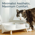 MalsiPree Pet Feeder Station With Bowls Malsipree