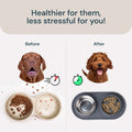 MalsiPree Slow Feeder Bowl Malsipree
