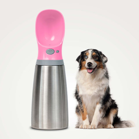 MalsiPree Insulated Dog Water Bottle- 24oz Malsipree
