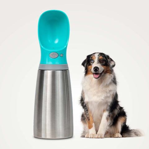 MalsiPree Insulated Dog Water Bottle- 24oz Malsipree