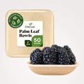 Compostable Palm Leaf Square Bowls for Parties Chic Leaf