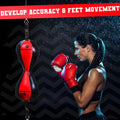 Red and black double-ended punching bag.