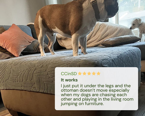 Dog standing on a textured ottoman with a product review overlay.