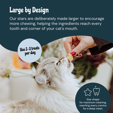 MalsiPree Cat Dental Stars (32 Pcs): Freeze-Dried Treats for Bad Breath Malsipree