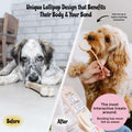 MalsiPree Pawlipop (8 Pcs): Freeze-Dried Dog Lollipop Treats for Training Malsipree