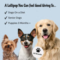 MalsiPree Ice Cream Pawps (15 Pcs): Freeze-Dried Dog Popsicle Treats Malsipree