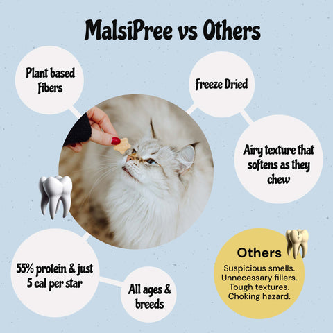 MalsiPree Cat Dental Stars (32 Pcs): Freeze-Dried Treats for Bad Breath Malsipree