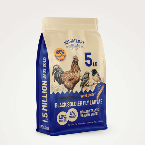 Bag of black soldier fly larvae bird food.