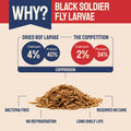 Dried black soldier fly larvae with high calcium and protein content.