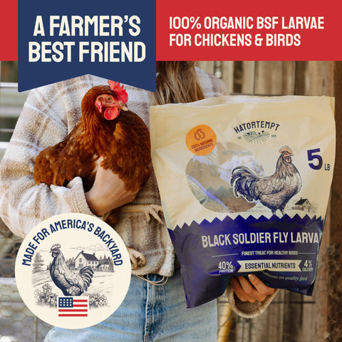 Bag of black soldier fly larvae for chickens and birds.
