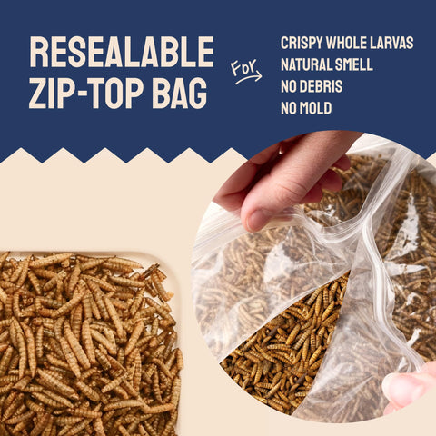 Bag of dried larvae.