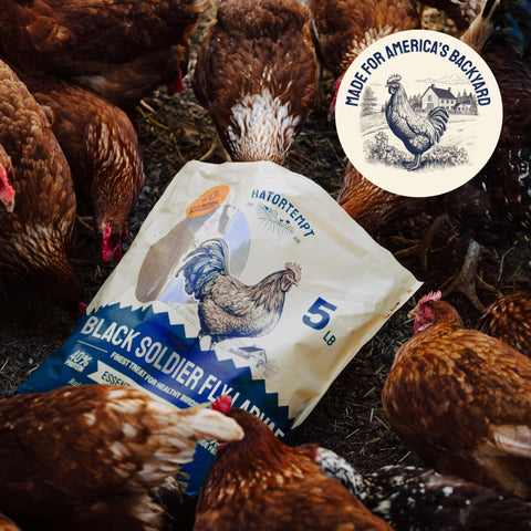 Bag of chicken feed.