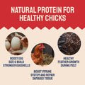 Chicken feed benefits.