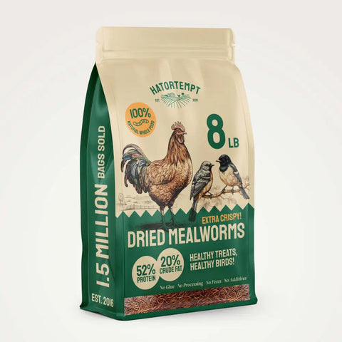 Bag of dried mealworms.