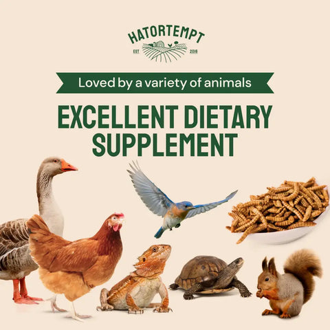 Animal dietary supplement.