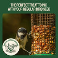 Bird feeding on peanuts.
