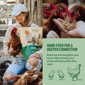 Chicken feed advertisement.