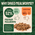 Dried mealworm nutritional comparison.