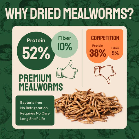 Dried mealworm nutritional comparison.