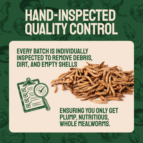 Pile of dried mealworms.
