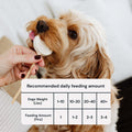 MalsiPree Pawlipop (8 Pcs): Freeze-Dried Dog Lollipop Treats for Training Malsipree