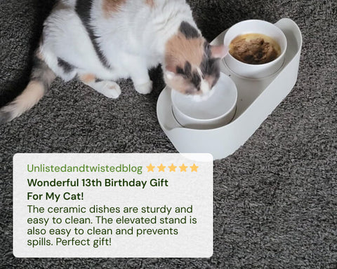 Cat using MalsiPree's elevated pet feeder and water bowl on a gray carpet with a positive review overlay.
