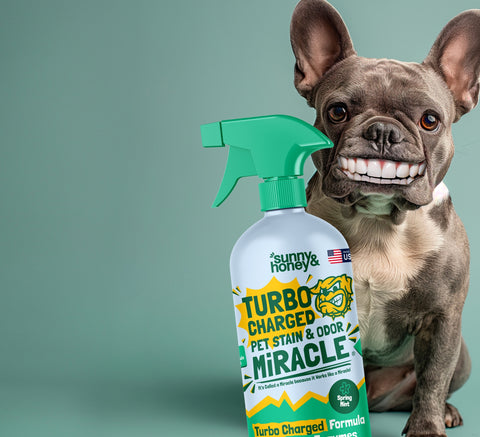 Pet Stain Removers