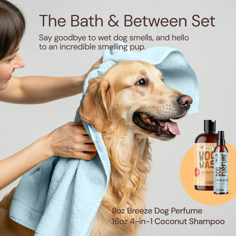 Sunny & Honey Dog Bathing Kit: Bath Time Freshness & Beyond Sunny & Honey