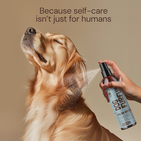 Sunny & Honey Dog Bathing Kit: Bath Time Freshness & Beyond Sunny & Honey