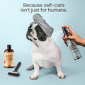 Sunny & Honey Dog Bathing Kit: Bath Time Freshness & Beyond Sunny & Honey