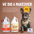Sunny & Honey Pet Stain & Odor Remover 1 Gal Sunny & Honey