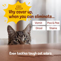 Sunny & Honey Pet Stain & Odor Remover 32 oz Sunny & Honey